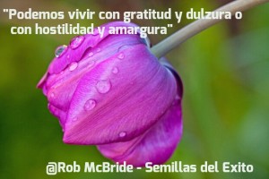 Podemos vivir con gratitud